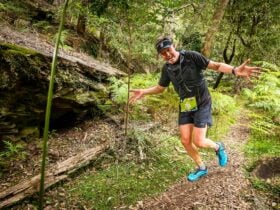 Man running through lush green bushland forest of Ku-ring-gai Chase National Park.