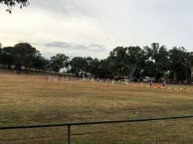 Jerrawa Showground