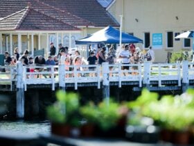 Monthly Markets by Pond