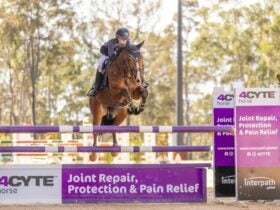 Willinga Park Jumping@Willinga