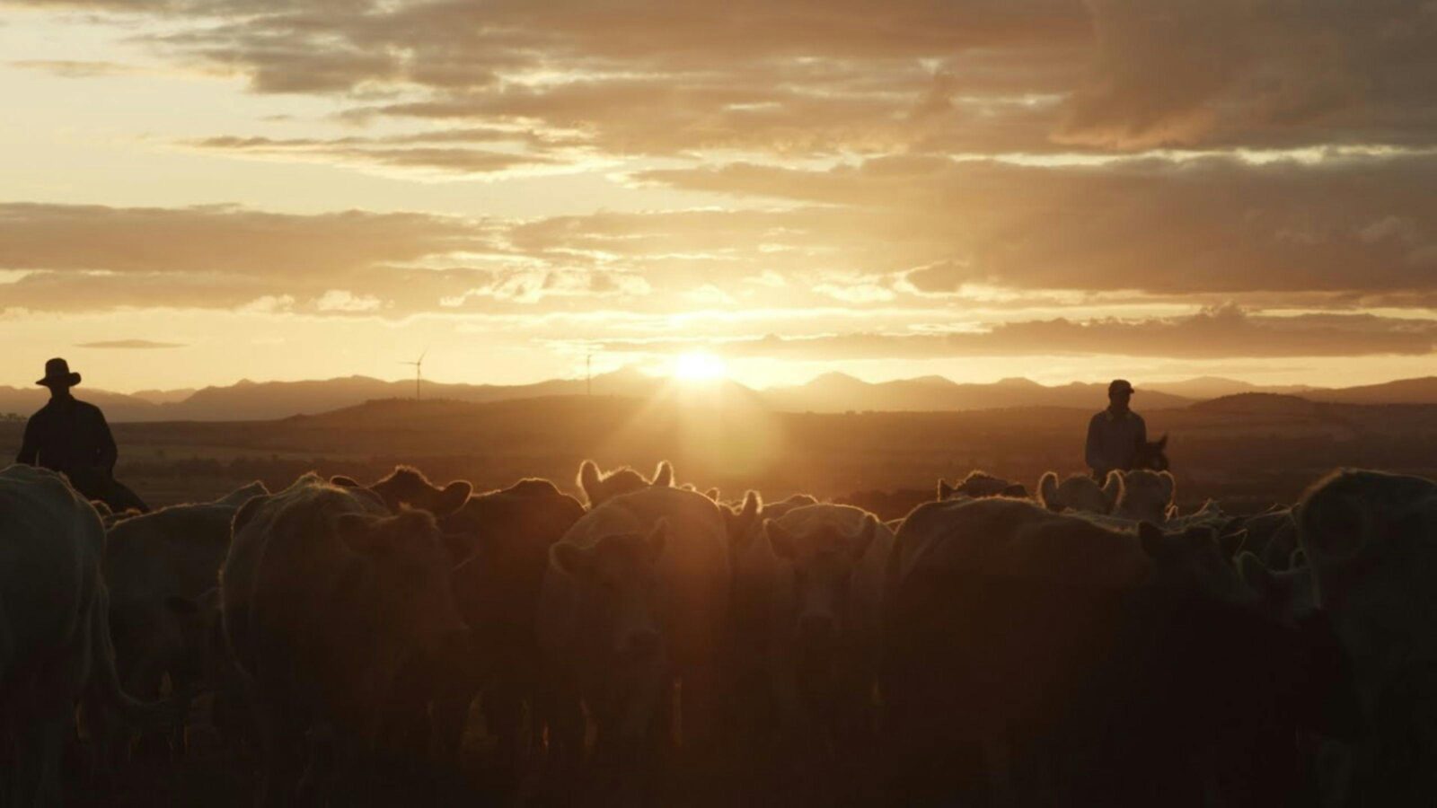 Just A Farmer screening at Pearces Creek Hall