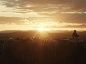 Just A Farmer screening at Pearces Creek Hall