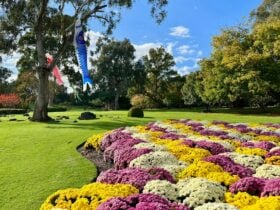 Koyo Matsuri – Autumn Festival