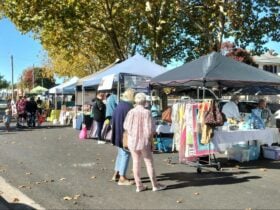 Image of gazebos under large trees