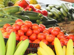 Fresh local produce