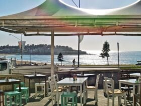 Bondi Beach panoramic views and live music