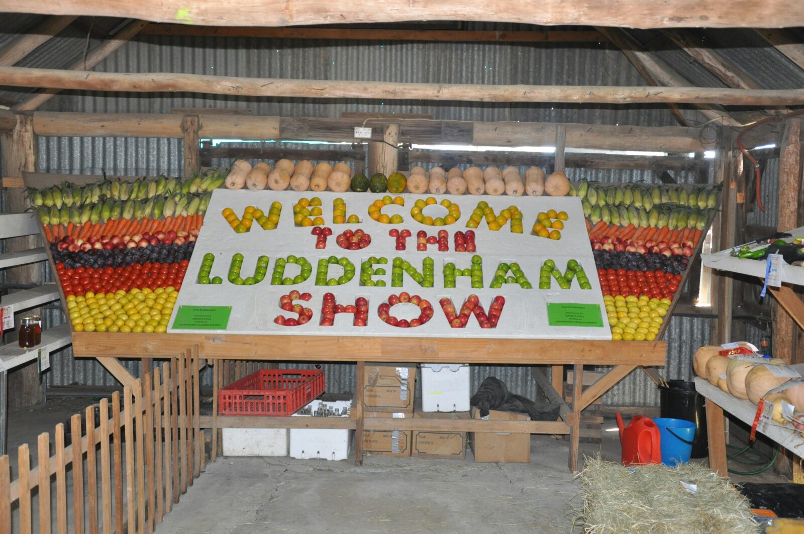 Fruit Display