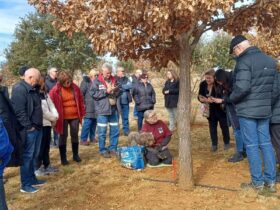Truffle Hunt