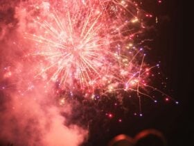 Maitland New Year's Eve