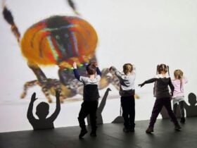 A joyful immersive experience in response to the work of Maria Fernanda Cardoso, Art & WonderÂ® MCA