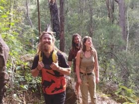 Bush walking