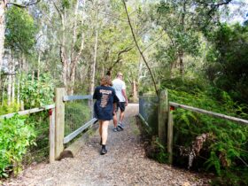 a man and woman walking along a bush track