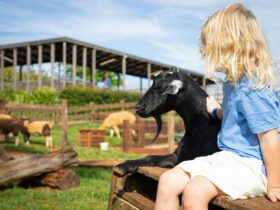 Summerland Farm