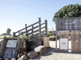 Exterior shot of The Farm signage