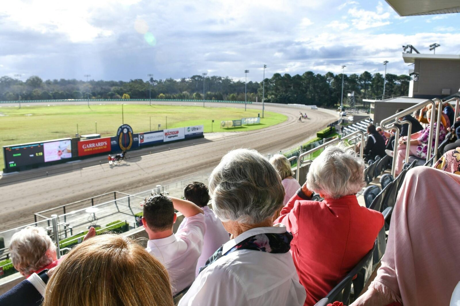 Over 55s enjoying the racing at Club Menangle Trackside