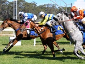 Bodalla Tuross Cup Day