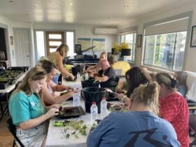 Workshop