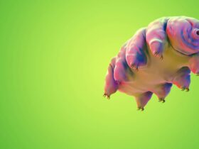 A small pink creature on a green background.