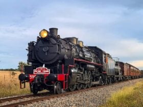 Moss Vale Picnic Train - Bowral Tulip Time