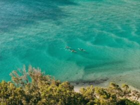 Drone photo of guests kayaking on the vibrant turquoise waters of the Pambula River.