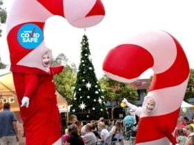 Mount Druitt Christmas Concert