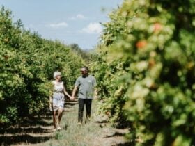 Couple enjoying farm