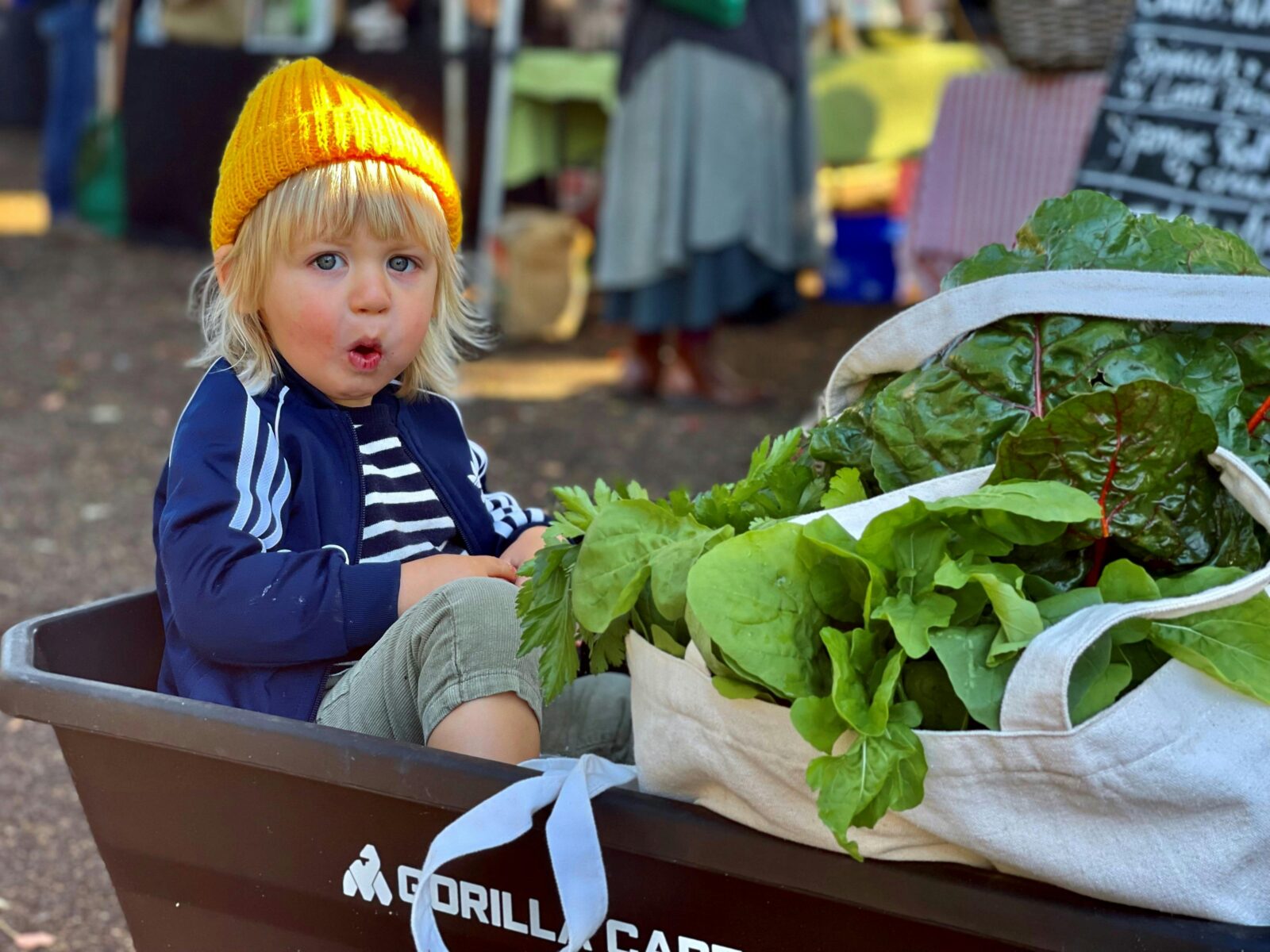 Image of a child sitting in a wheelbarrow filled with local produce