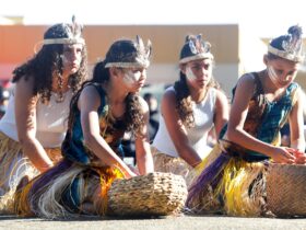Performers at NAIDOC