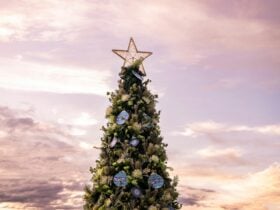 Barangaroo Christmas Trees