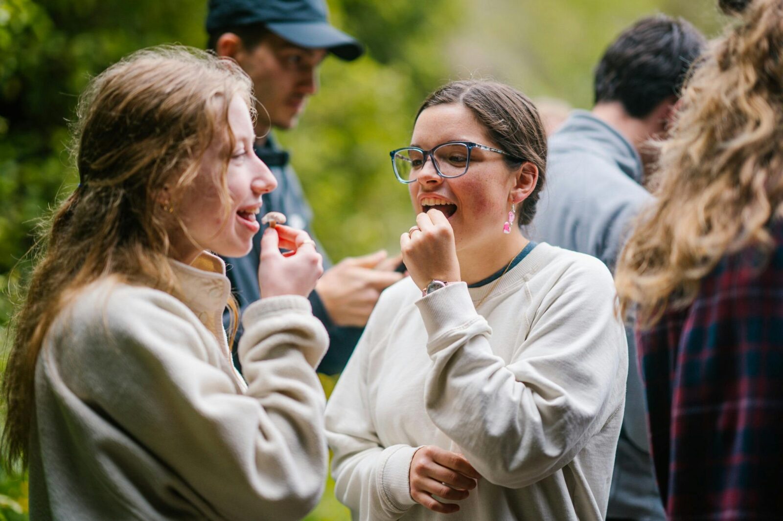 Tasting fungi meals