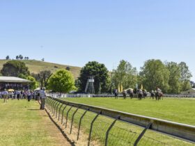 Horses Racing