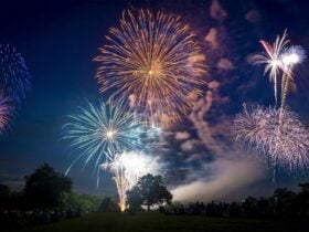 Vibrant fireworks explode in the night sky over a Parramatta Park