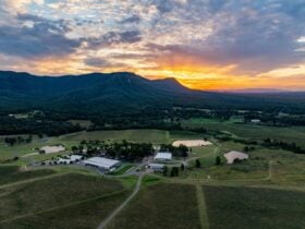 Leogate Estate, wine country