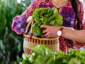 Lady with lettuce