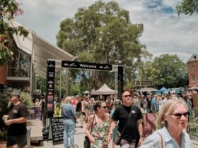 Norco Eat The Street