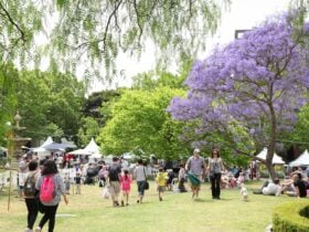 Ted Mack Civic Park