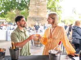 NSW Wine Cellar Door