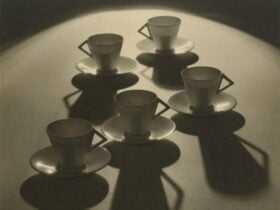 Olive Cotton and her contemporaries edit