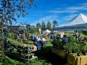 25% off selected plants