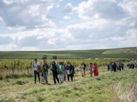 Forage goers
