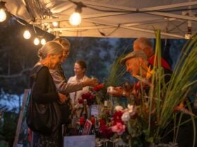 Audience mingle at Four Winds site