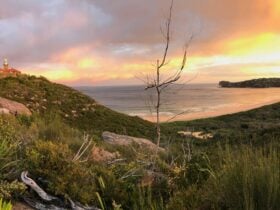 Urban Night Sky Place