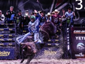 PBR cowboy riding bull