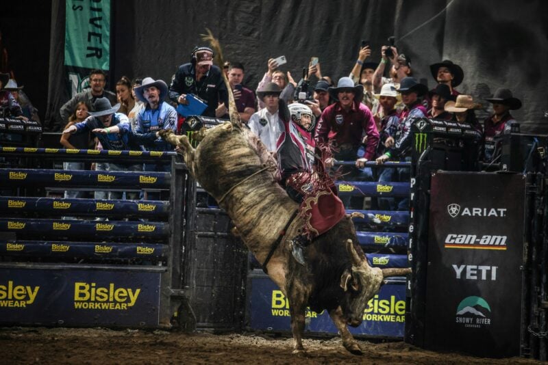 PBR cowboy riding bull
