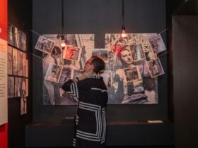 Person looking at photographs on a wall in a gallery