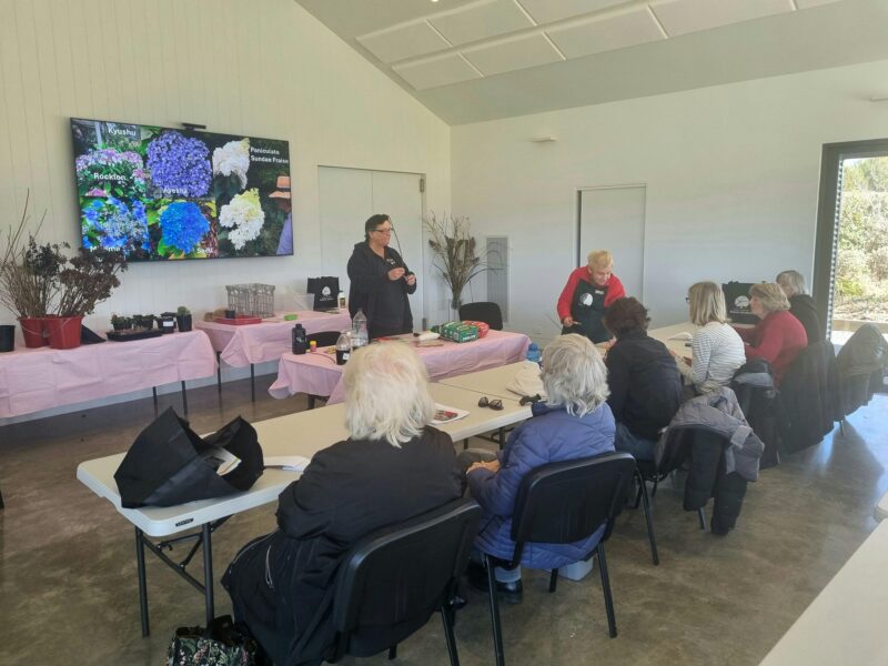 Workshops