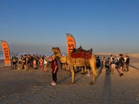 Camel leads the start of the trail run