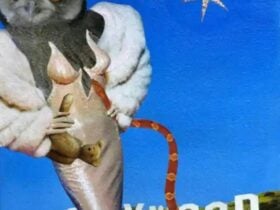 Putting Meaning Into Your Art - With Pauline Balos