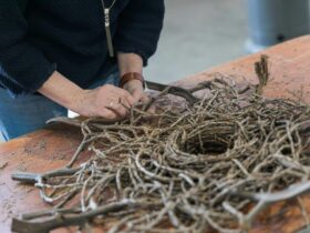 Basketry