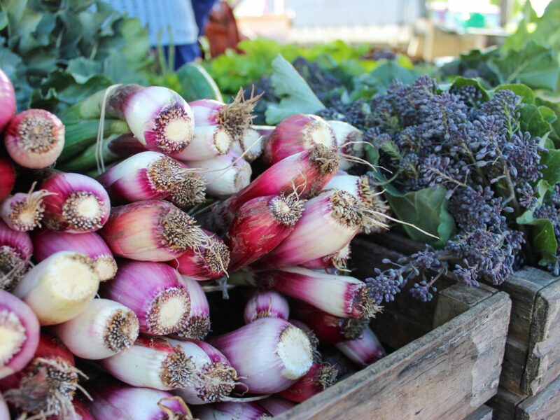 An image of fresh locally grown produce sold at the SAGE Farmers Market